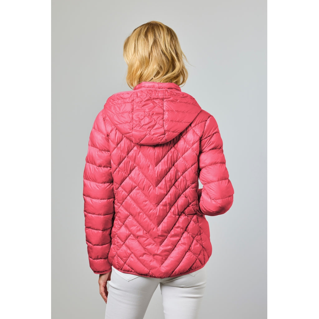 Junge Naja Kv. 62 38-Raspberry