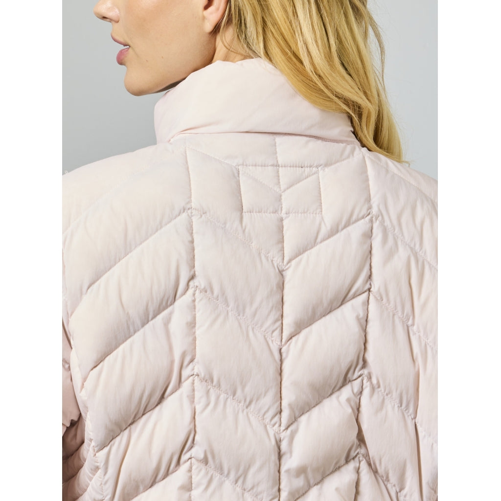 Junge Daisy Kv. 60 33-Rose