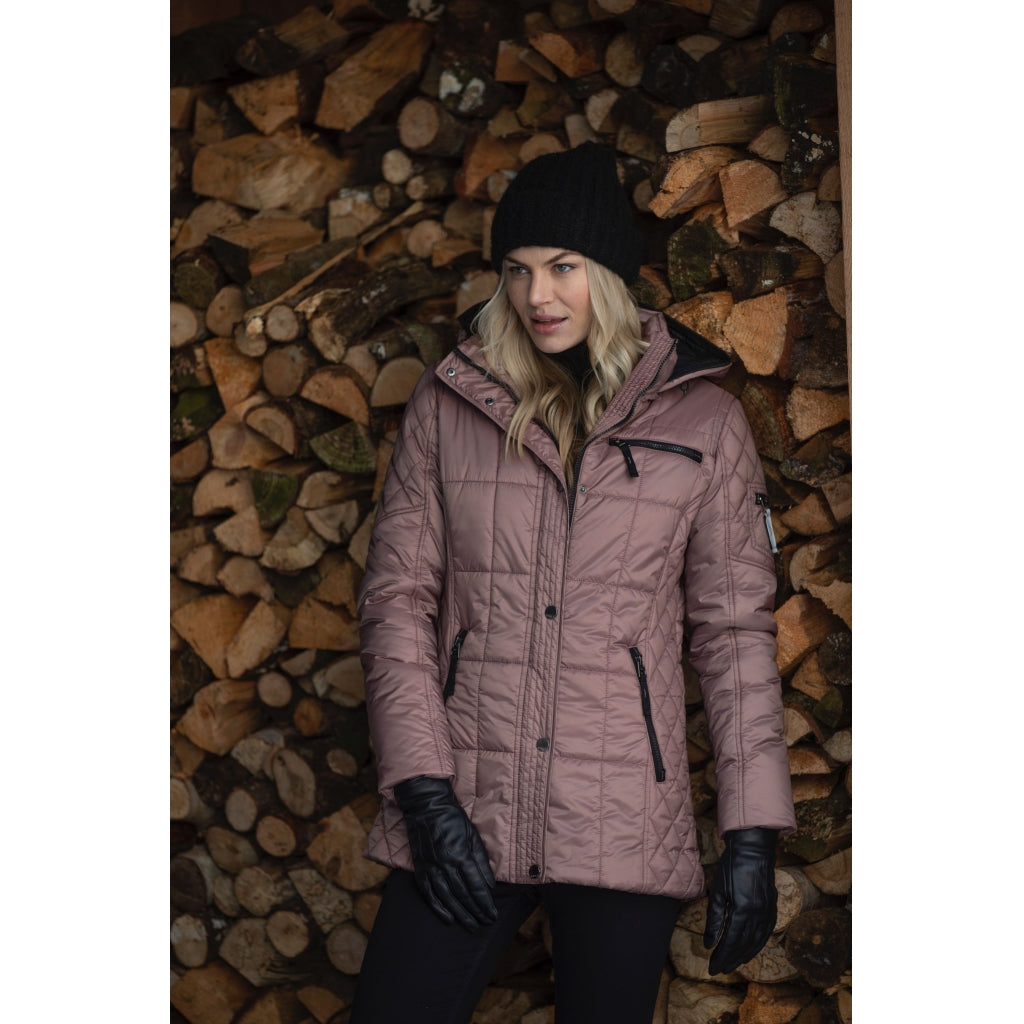 Junge Majbrit Kv. 66 33-Rose