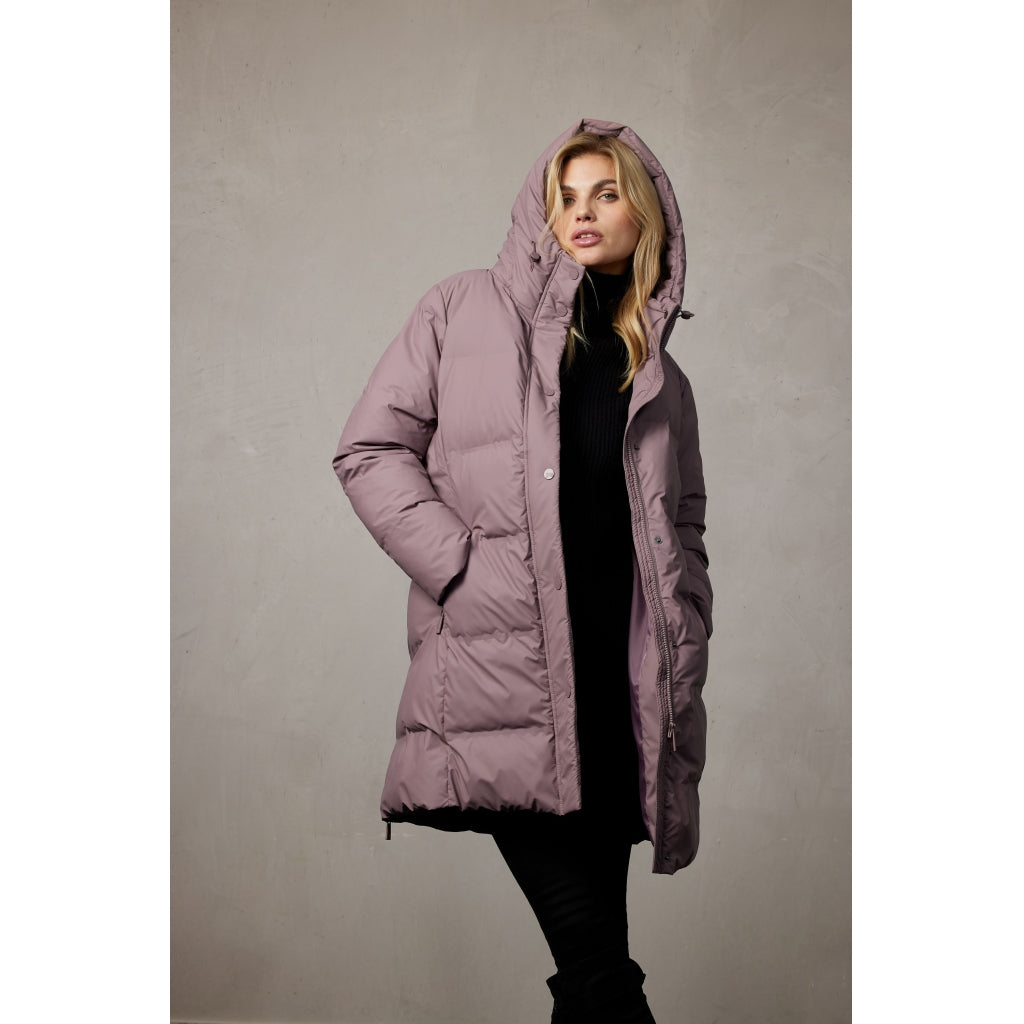 Junge Myrna Kv. 90 33-Rose